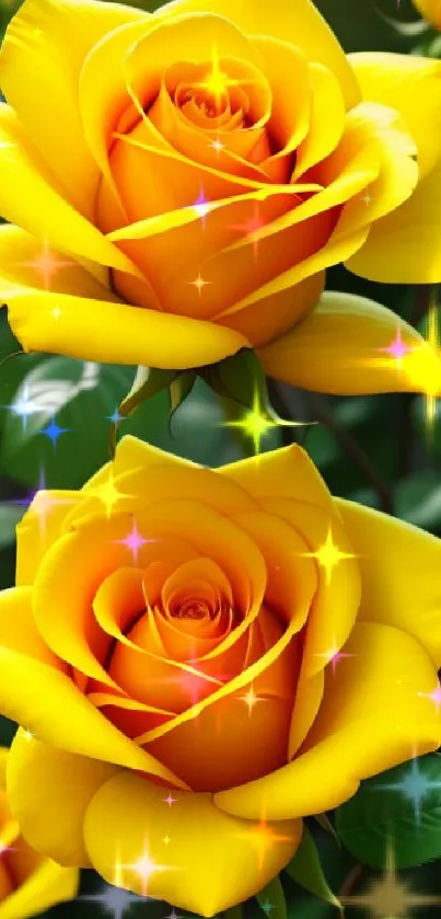 Vibrant yellow roses with detailed petals, set against a lush green backdrop.