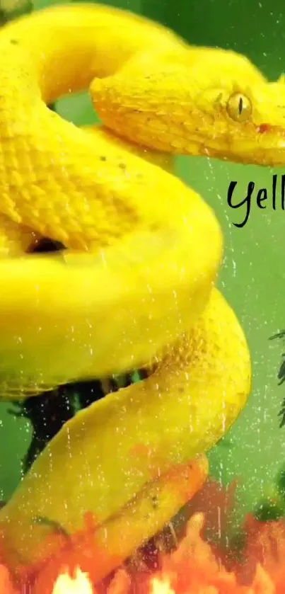 Yellow snake on a green background with a vibrant design.