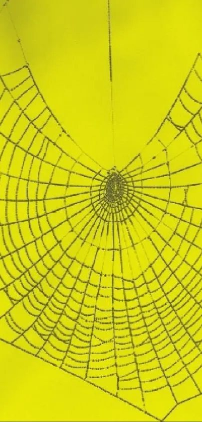 A vibrant yellow wallpaper featuring a detailed spider web design.