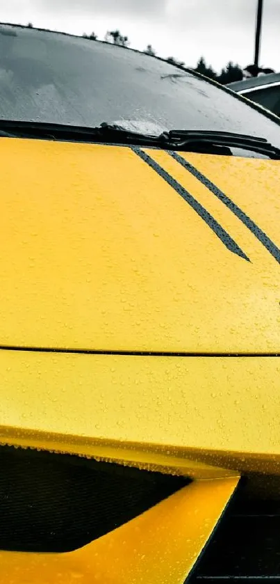 Close-up of a vibrant yellow sports car with rain droplets.