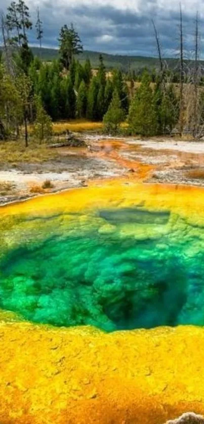 Vibrant yellow and green geyser in Yellowstone National Park under a cloudy sky.