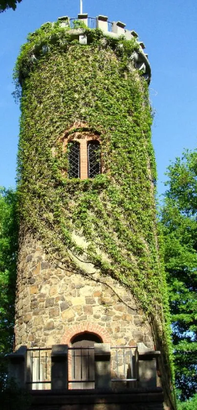 Vine-covered stone tower amidst lush green trees, perfect for phone wallpaper.