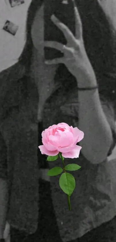 Mobile wallpaper with pink rose overlay in a vintage aesthetic style.