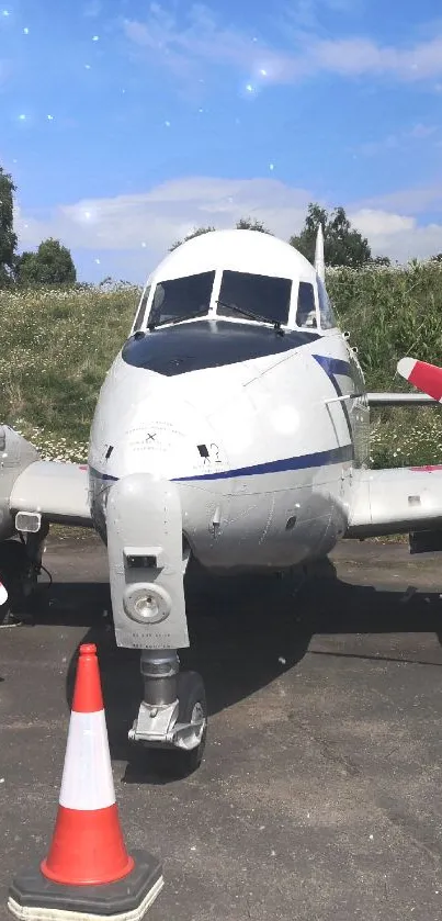 Vintage aircraft with propellers on a runway with greenery backdrop.