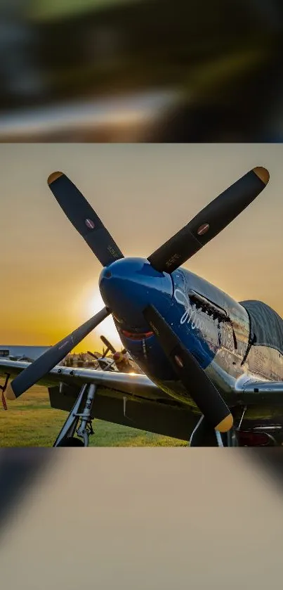 Vintage aircraft with a sunset backdrop, exuding a golden glow and classic charm.