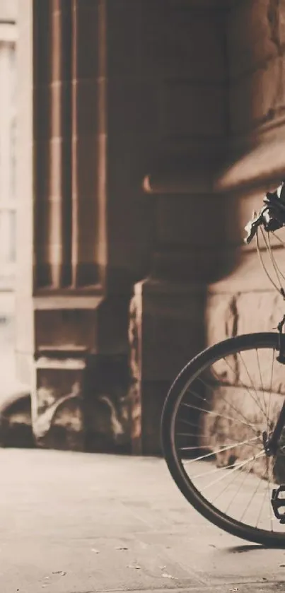 Vintage bicycle leaning against an architectural backdrop.