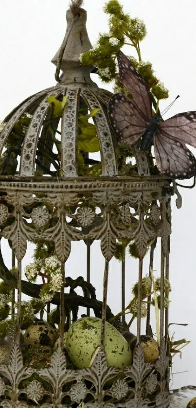 Vintage birdcage with butterfly and eggs decoration.