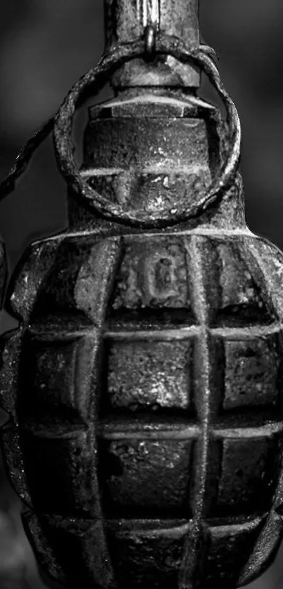 Vintage black and white grenade wallpaper for mobile.