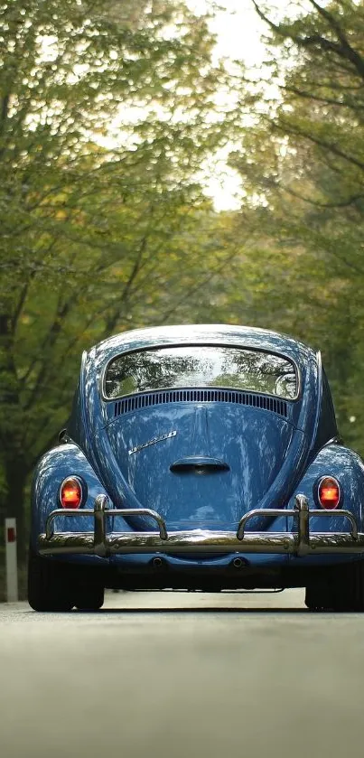 Vintage blue Beetle driving through lush forest.