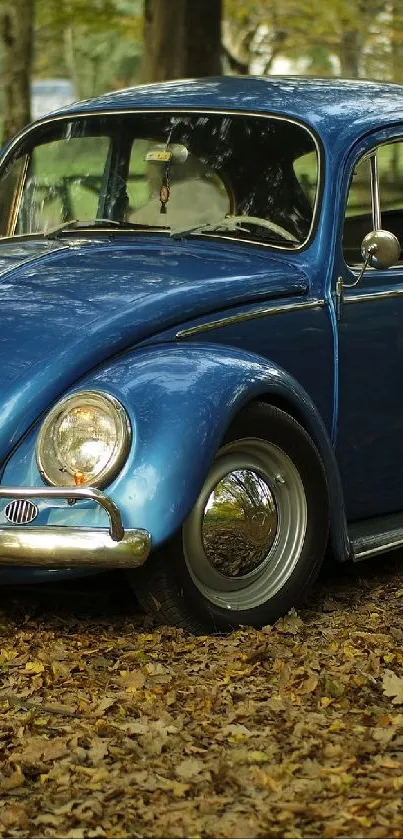 Vintage blue car in scenic autumn setting with fallen leaves and forest backdrop.