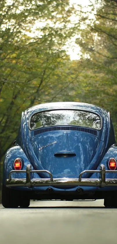 Vintage blue car driving through a forest road.