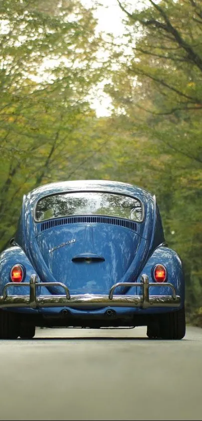 Vintage blue car on a peaceful forest road.