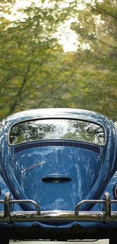 Vintage blue car on a forest road with lush green surroundings.