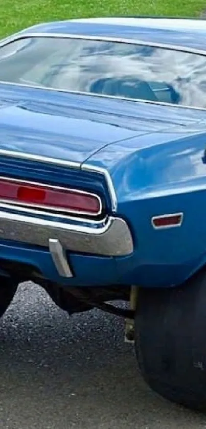 Rear view of a vintage blue car on a paved road with scenic green background.