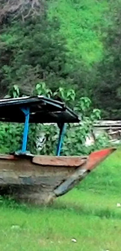 Rustic boat in lush green setting with serene ambiance.