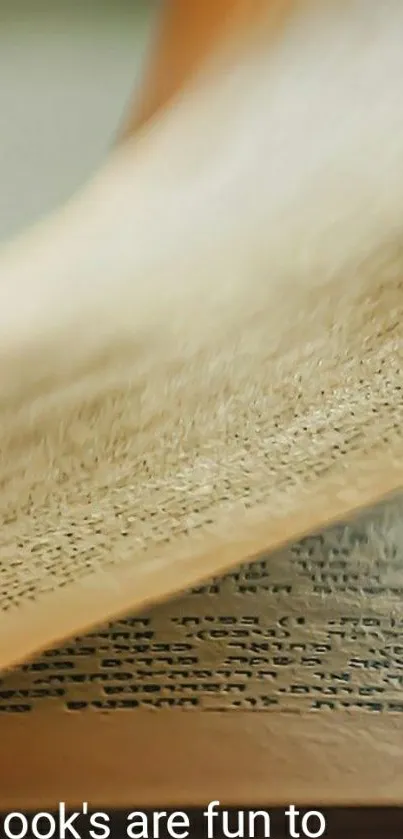 Close-up of a vintage book with pages flipping elegantly.