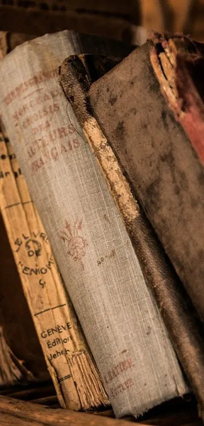 Vintage bookshelf with antique books and worn bindings.