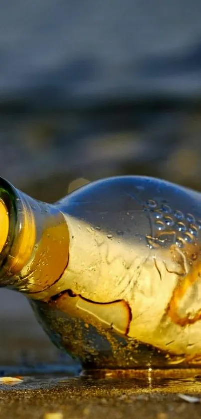 A vintage bottle glistens on the serene beach at sunset, reflecting ocean tranquility.