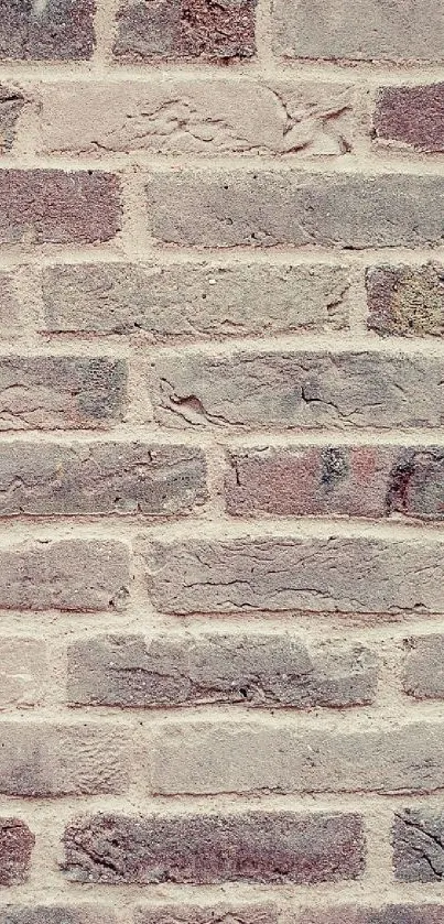 Rustic vintage brick wall wallpaper with soft tones and textured pattern.