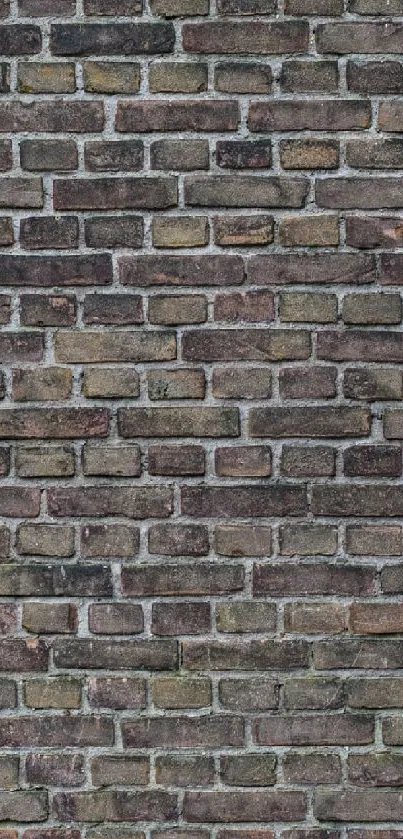 Vintage brick wall texture for phone wallpaper.