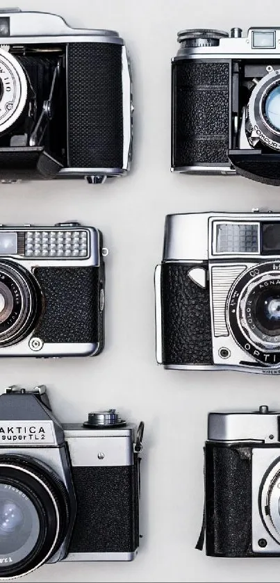 A collection of vintage cameras displayed artistically on a light background.