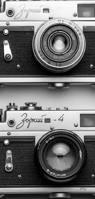 Vintage cameras in black and white, perfect for a retro wallpaper aesthetic.