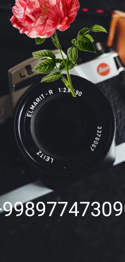 Vintage Leica camera with pink floral overlay on dark background.