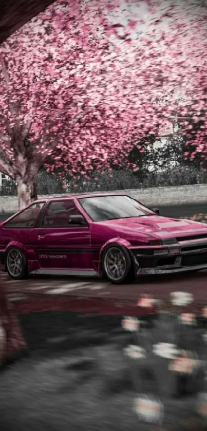 Vintage car under cherry blossoms with a blurred background.