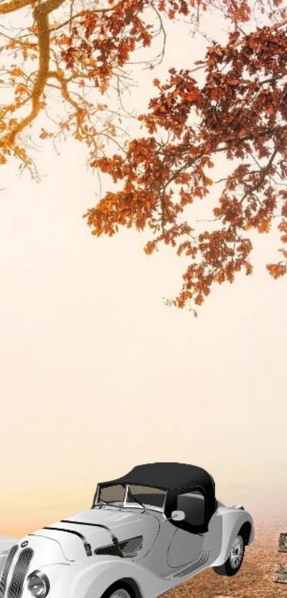 Vintage car under autumn leaves with bench in tranquil setting.