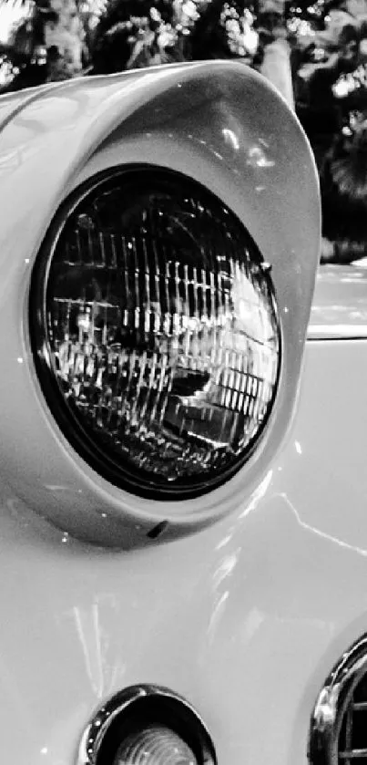 Black and white photo of a classic vintage car under a canopy.