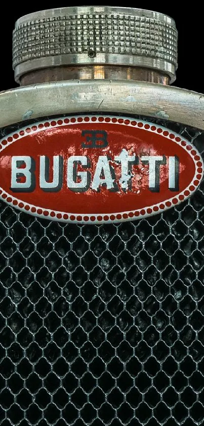 Vintage car grille with intricate mesh pattern and classic logo.