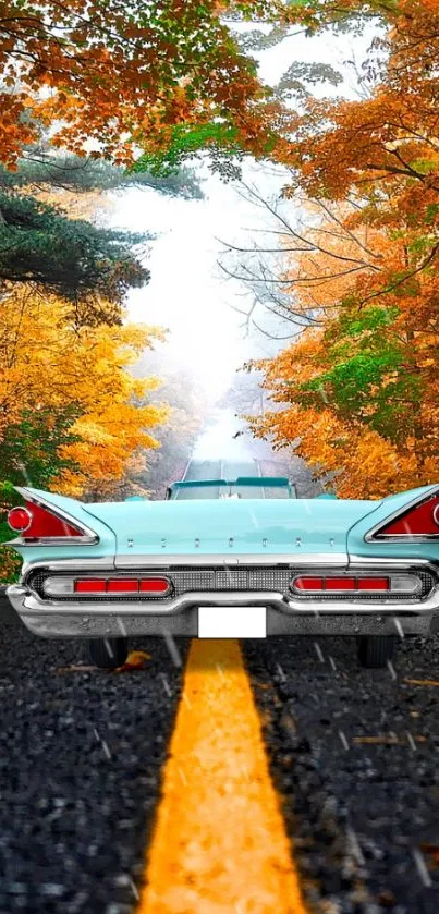 Vintage car driving through autumn forest with colorful leaves and a road stripe.