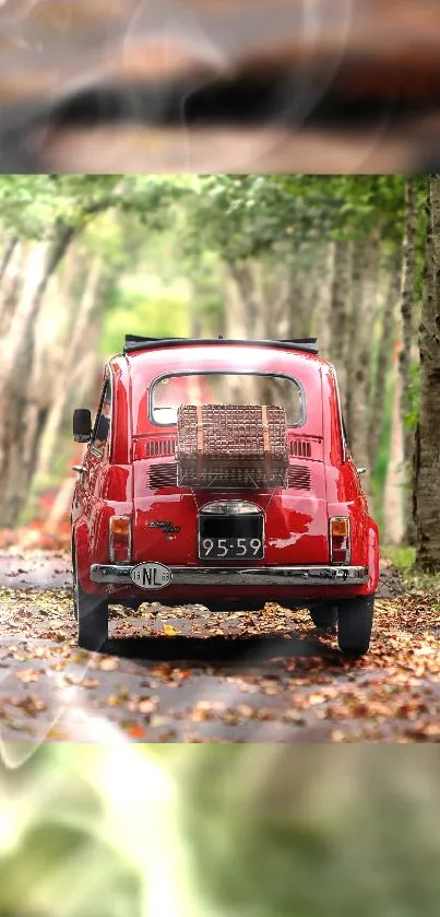 Vintage red car driving through an autumn forest with fallen leaves.