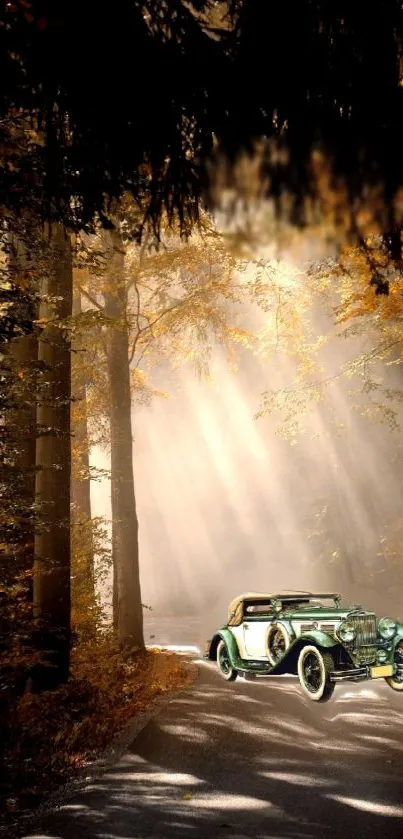 Vintage car on a sunlit autumn forest road with golden leaves.