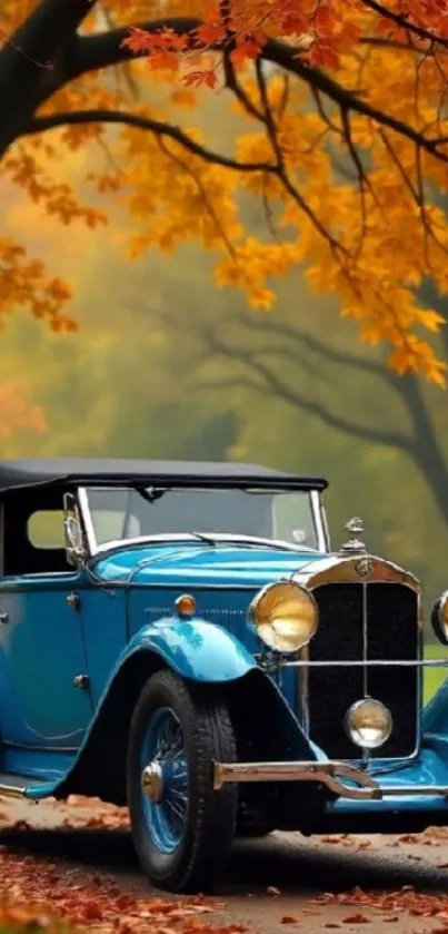Vintage blue car under autumn leaves.