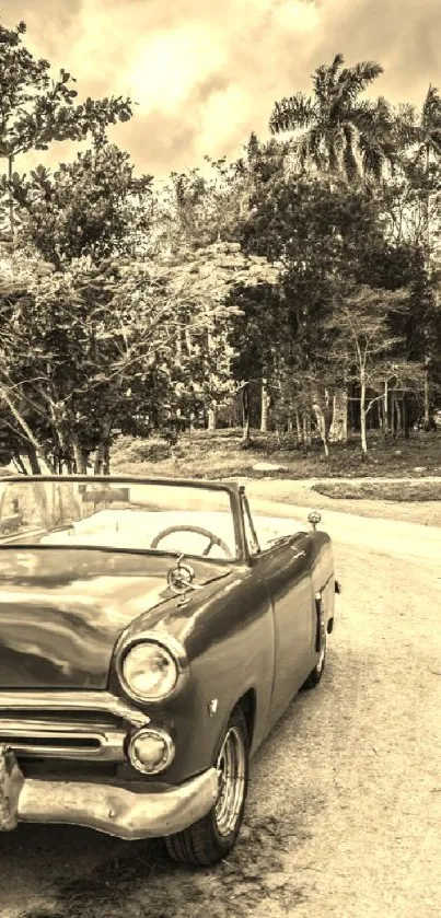 Vintage car driving through lush countryside with monochrome contrast.