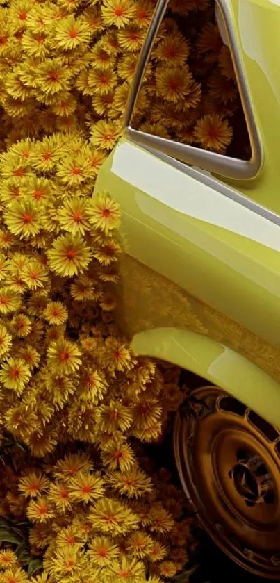 Vintage car surrounded by vibrant yellow flowers.