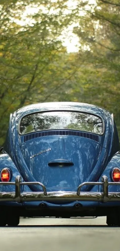 Vintage blue car on a forest road background.