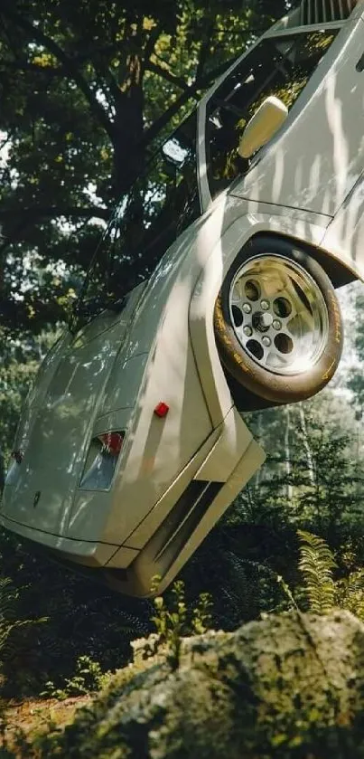 Vintage car hanging in a green forest setting.