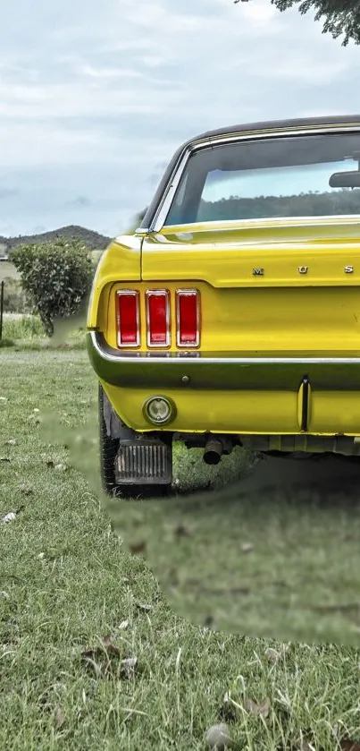 A classic yellow car in a grassy field with scenic background.