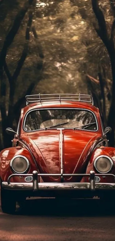 Red vintage car on a forest road, surrounded by trees.