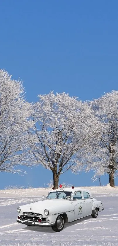 Vintage car in snowy landscape with frosty trees and blue sky.