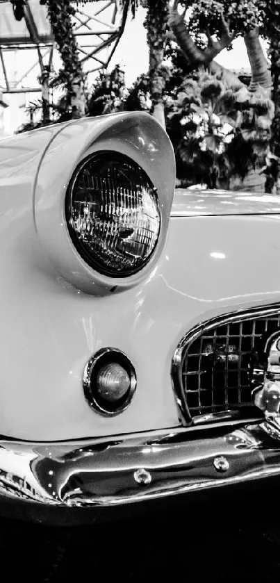 Monochrome image of a vintage classic car in a timeless setting.