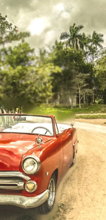 Vintage red car on a scenic road with lush greenery.