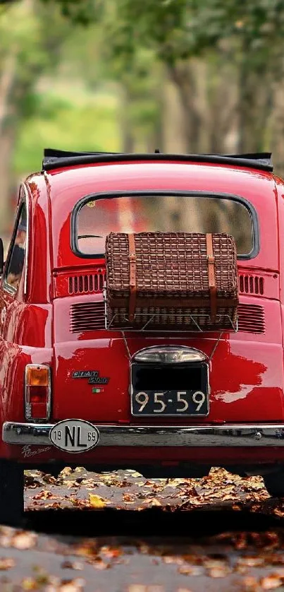 A vintage red car drives down a tree-lined forest road.