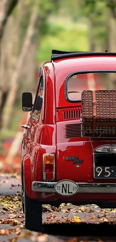 Vintage red car on scenic autumn road.