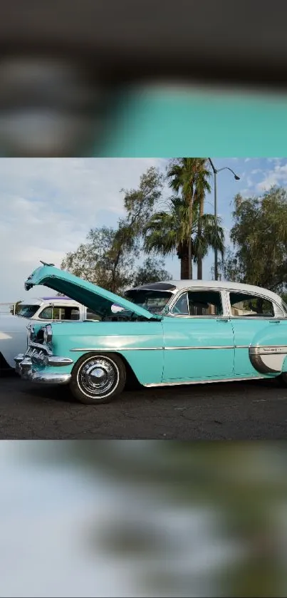 Vintage turquoise car at a show with trees and sky in the background.