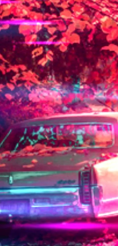 Vintage car parked under vibrant autumn foliage in a scenic setting.