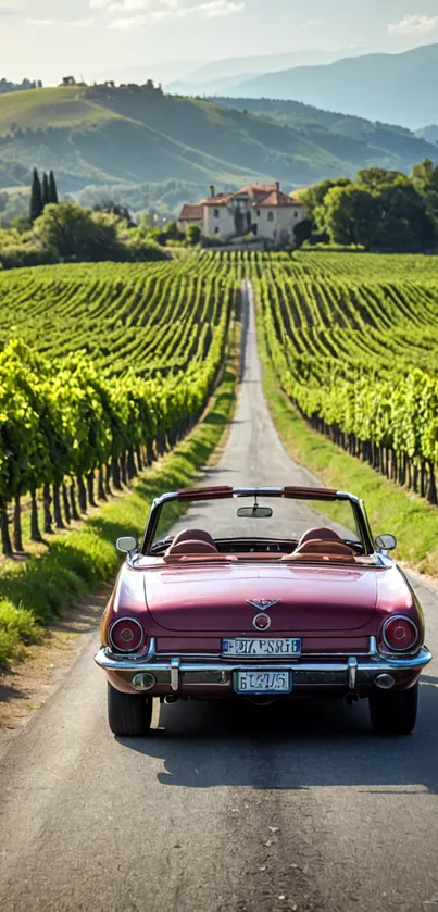 Vintage car driving through lush vineyard landscape.