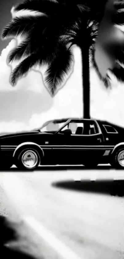 Black and white vintage car with palm tree background.